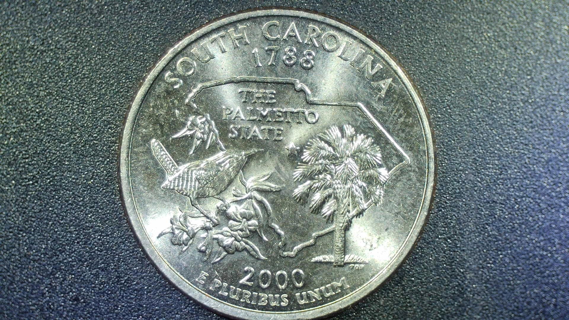 2000-D South Carolina Die Chip On Beak