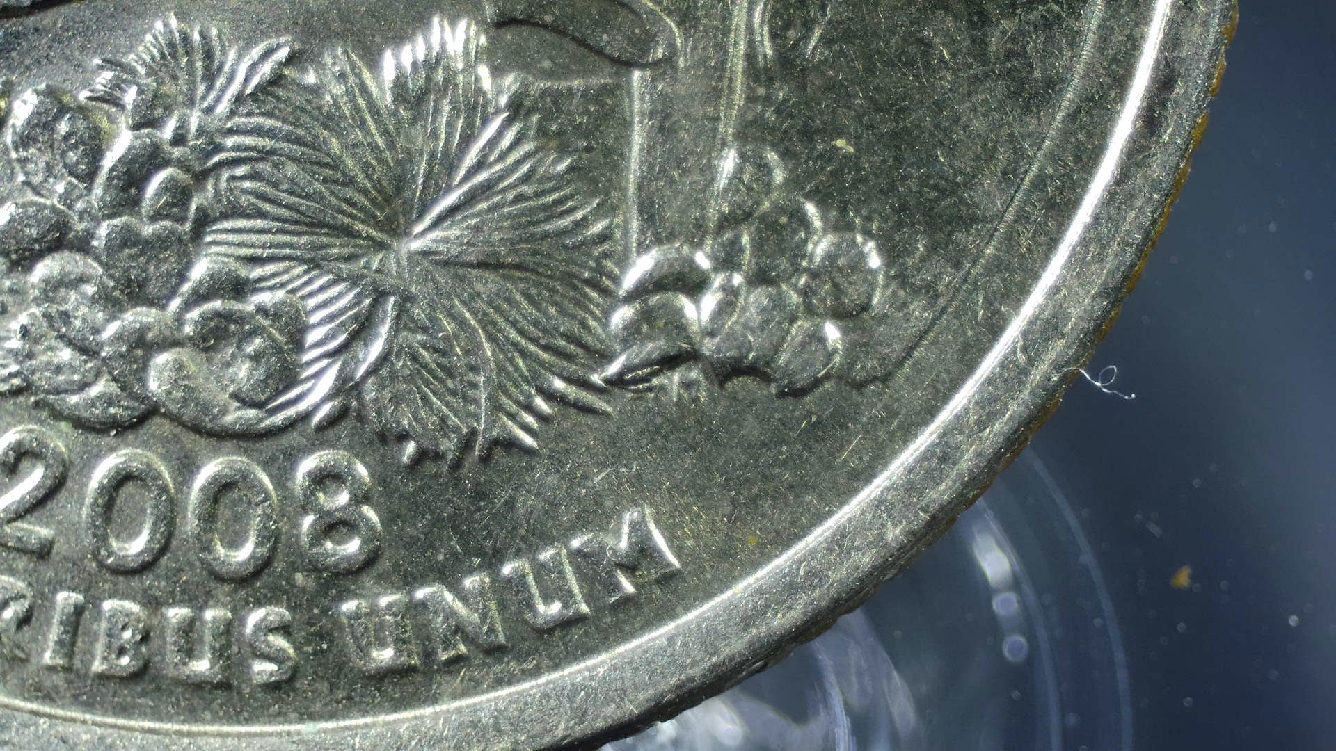 2008-P Arizona Quarter Extra Catus Leaf